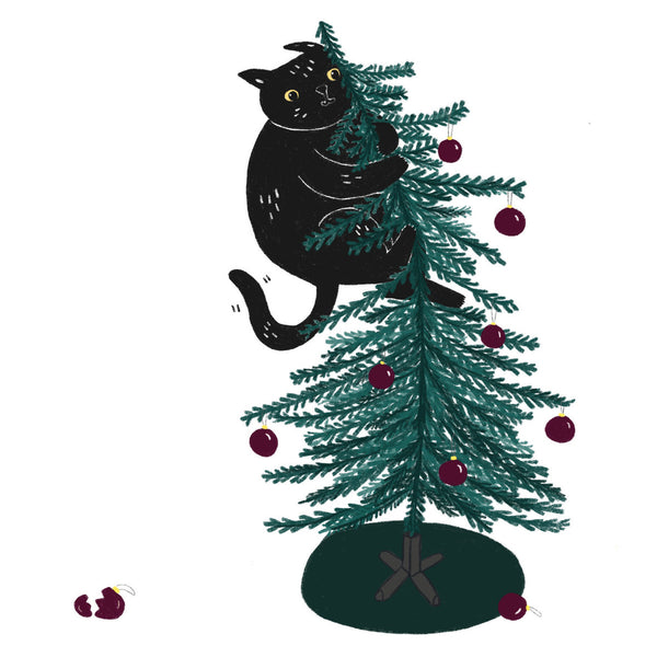 A FESTIVE BOY christmas card