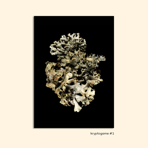 KRYPTOGAME #1