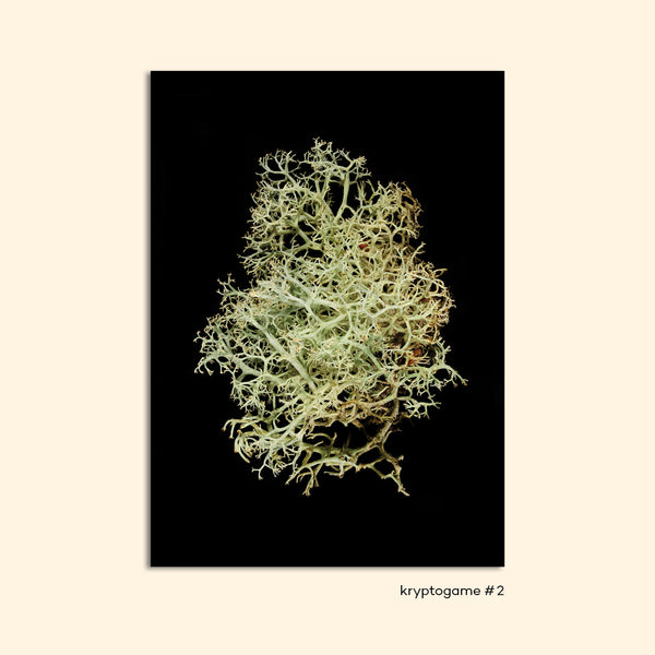 KRYPTOGAME set of 5 postcards