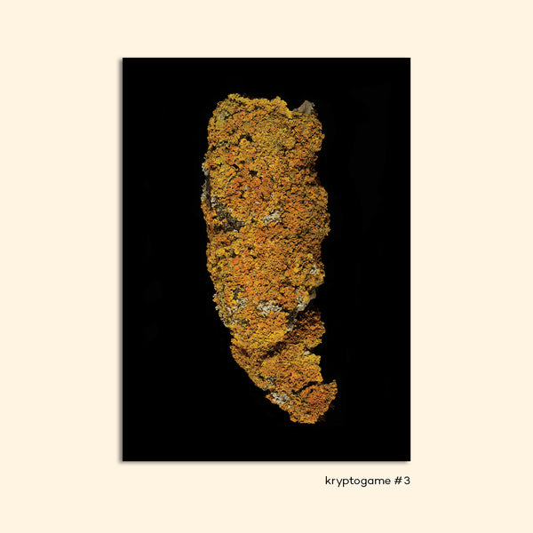 KRYPTOGAME set of 5 postcards