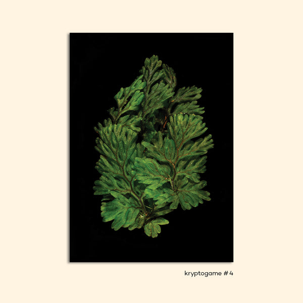KRYPTOGAME #4