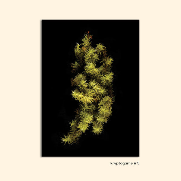KRYPTOGAME #5