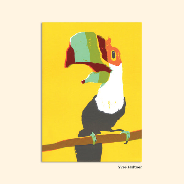Postcard "Toucan" by Yves Haltner
