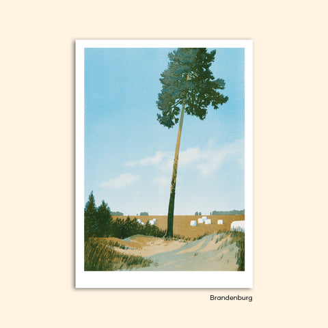 postkarte BRANDENBURG